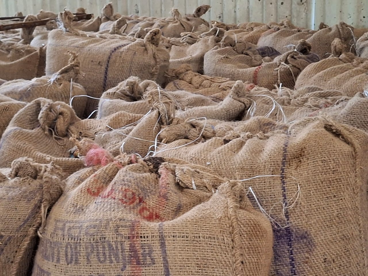 about-us whatsapp-image-2025-08-01-at-13254-pm